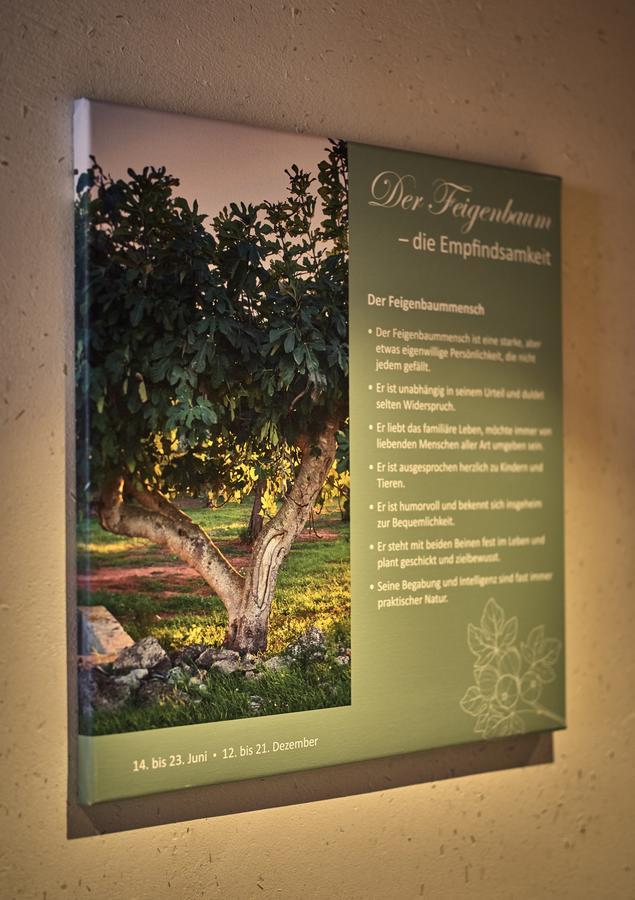 Zedernhof Gesundheits- & Wellnesshotel Stamsried Luaran gambar